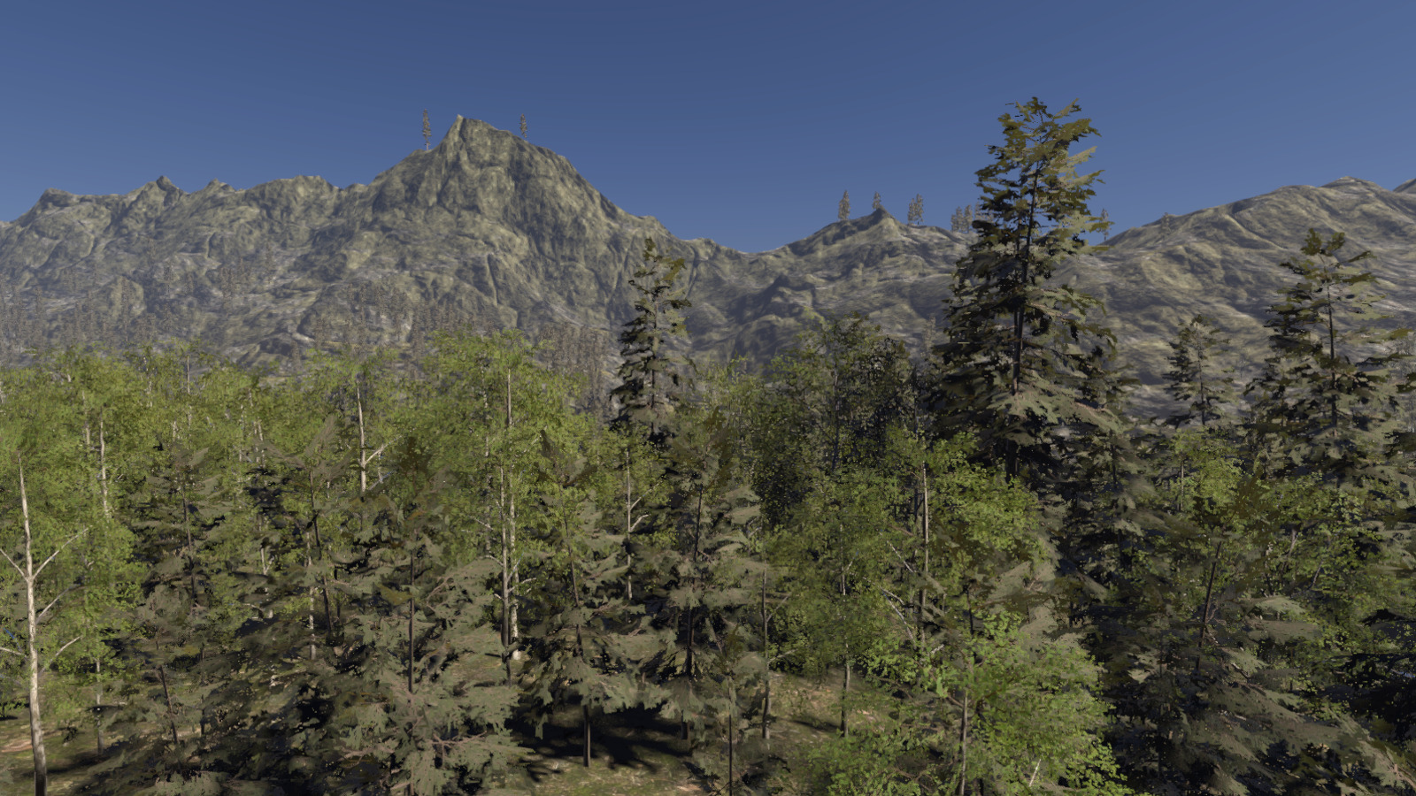 Low aerial view of a coniferous forest area rendered with medium realism
